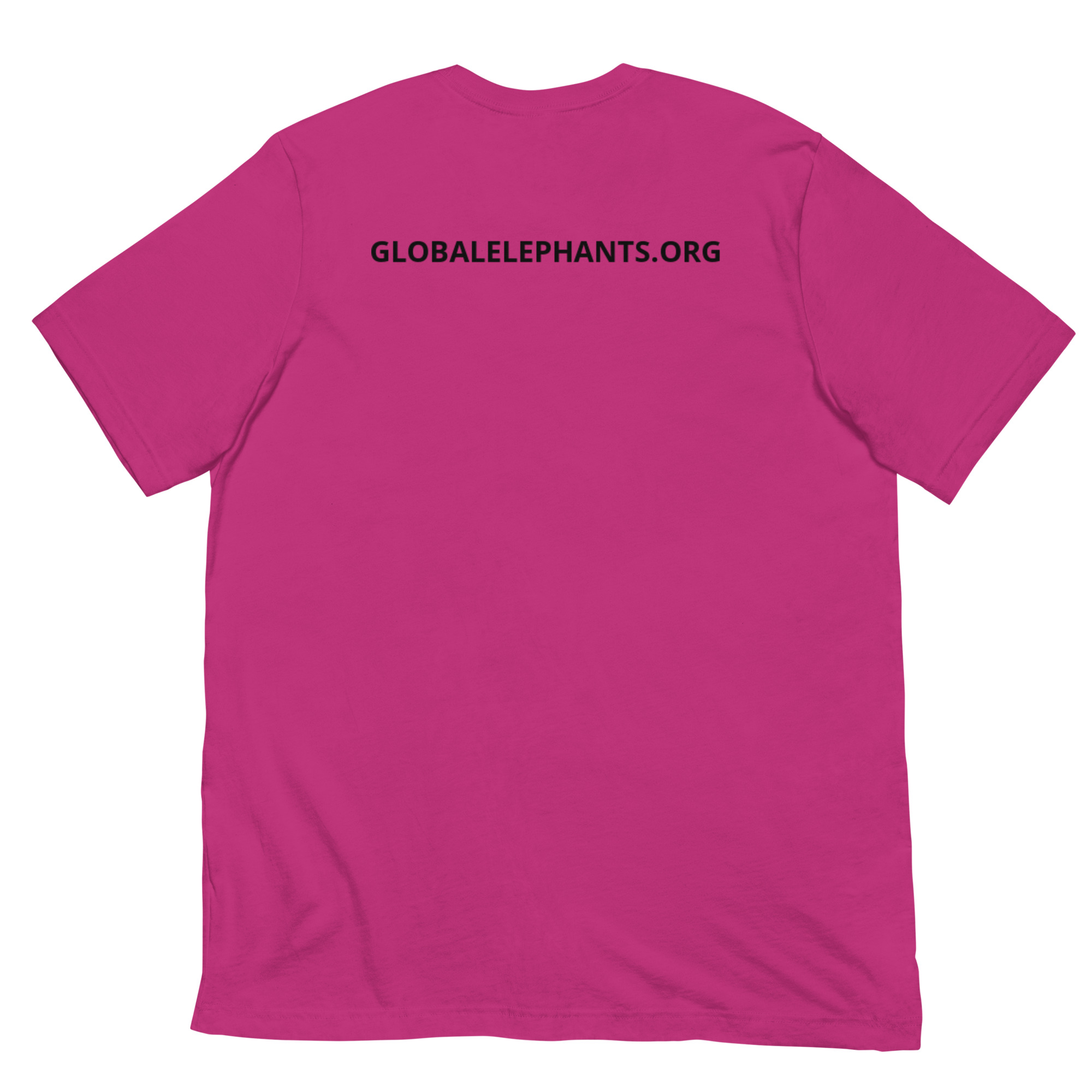 All Gender T-shirt - SEB Logo - Image 5