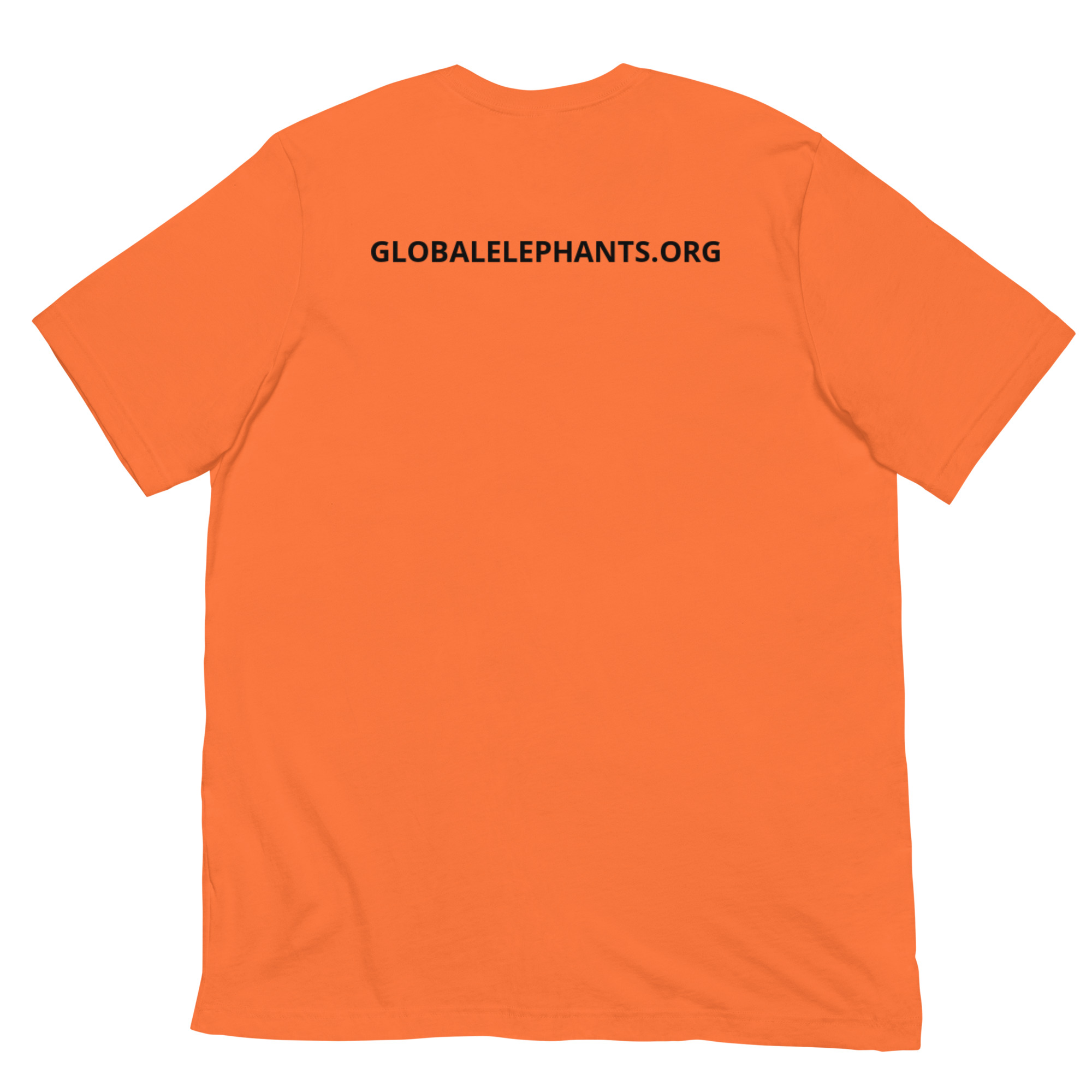 All Gender T-shirt - SEB Logo - Image 14